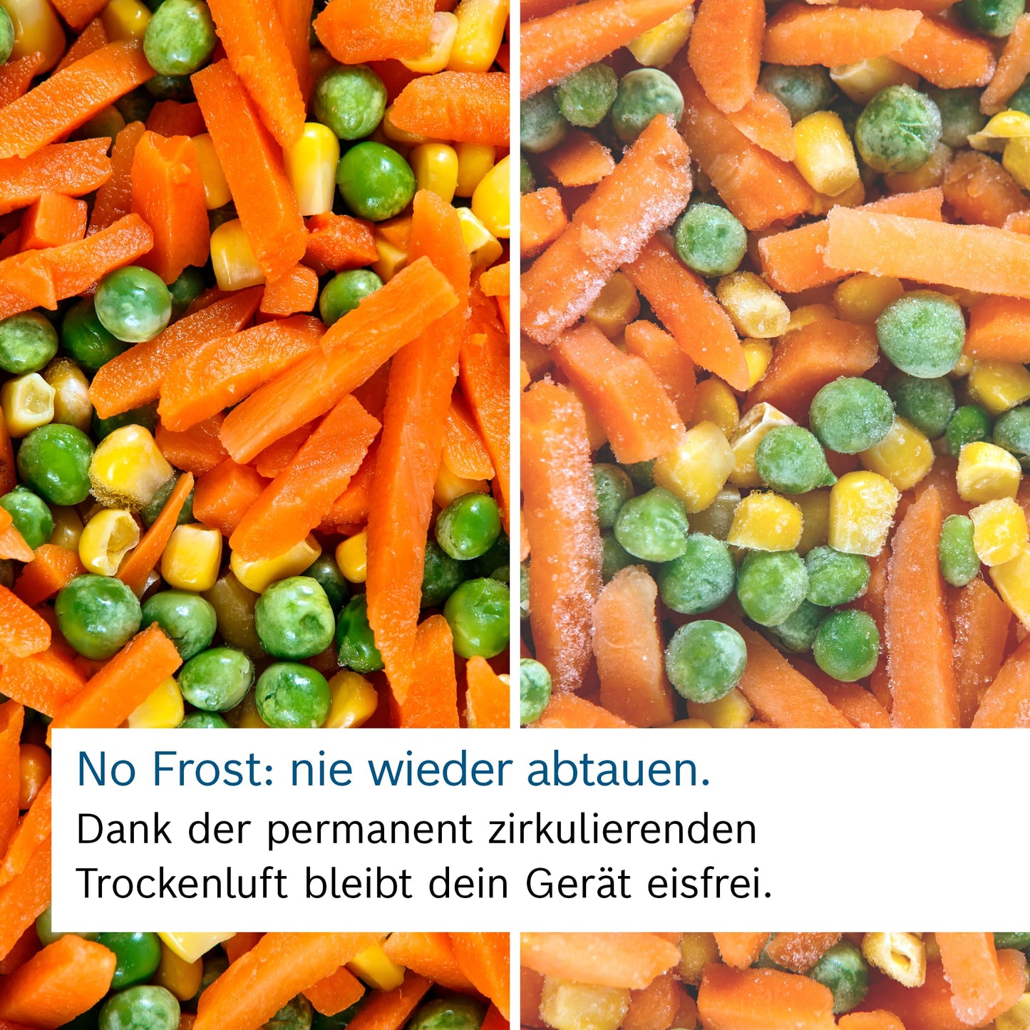 Bosch Gefrierschrank 365L – 191cm, NoFrost